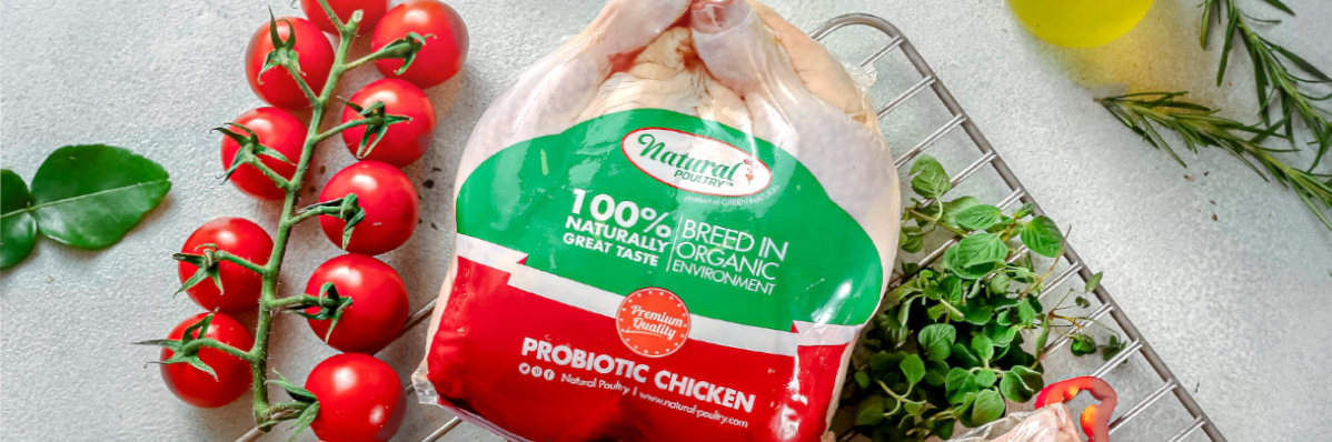 ayam-negeri-probiotik