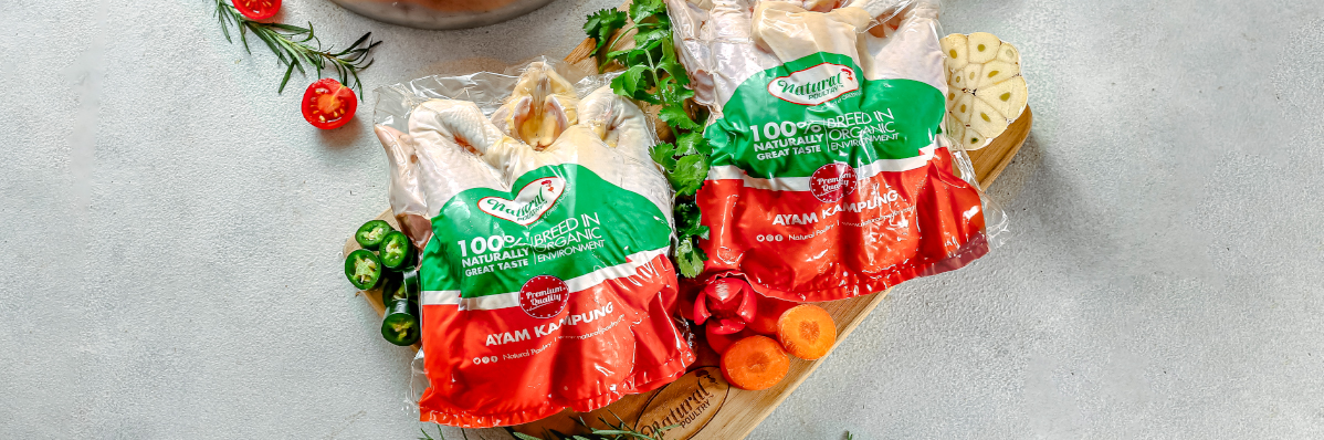 ayam-kampung-probiotik